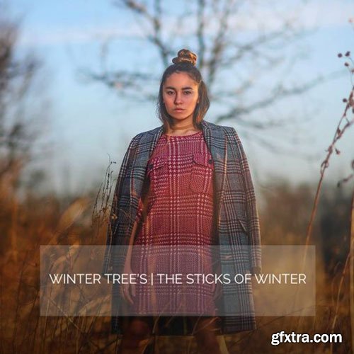 AwTeaches - Sticks of Winter