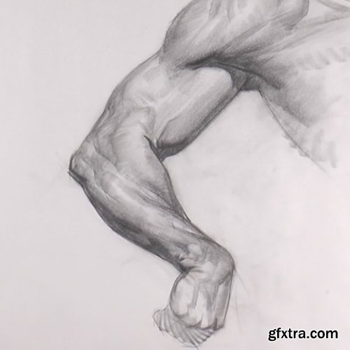 Watts Atelier - Anatomy Intensives – Arms and Legs, with Erik Gist