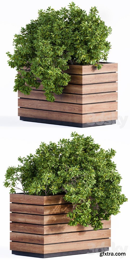 3dsky Pro - Plant Box Green & Wood