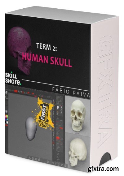 Skillshare - Term 2 - Sculpting the Human Skull