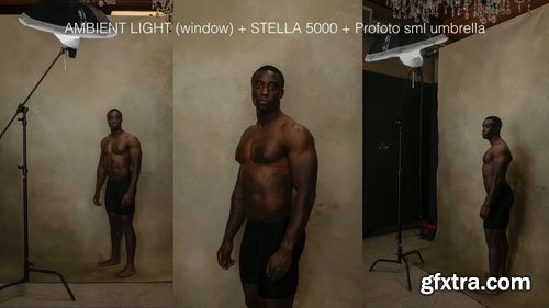 The Portrait System - Lighting Essentials