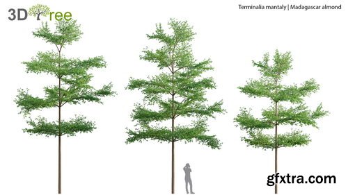 3dtree - Collection 03 - Park