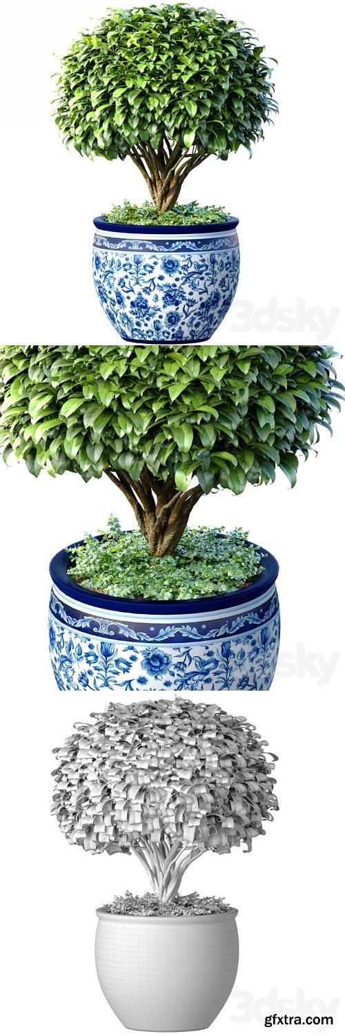 3dsky Pro - Decorative tree in an Italian vase. Indoor plant