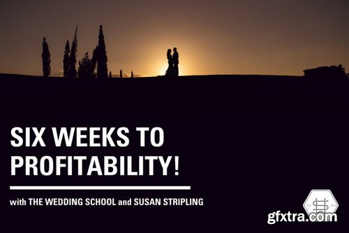 The Wedding School - Six Weeks to Profitability