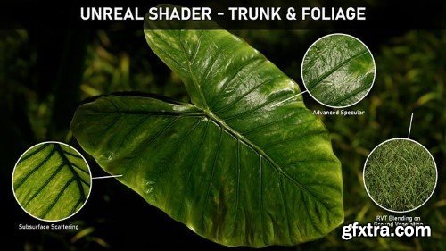 ArtStation - Unreal Shader: Trunk & Foliage