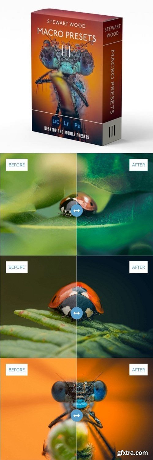 Stewart Wood - Macro Presets V3 (16 AI Adaptive Presets)