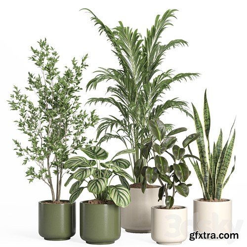 3dsky Pro - indoor plant set 56- ceramic pot