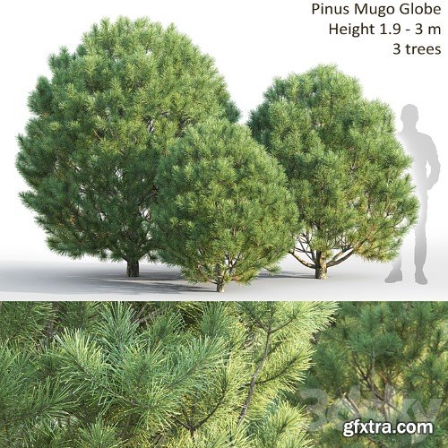 3dsky Pro - Pine