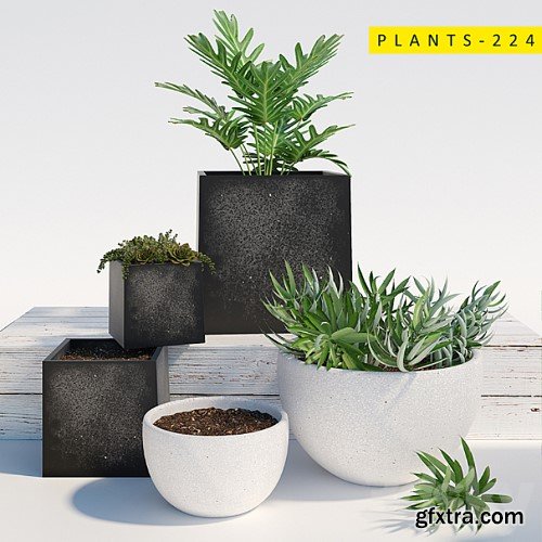 3dsky Pro - PLANTS 224