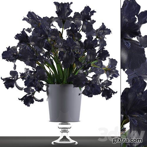 3dsky Pro - Collection of flowers 46. Black Irises. Black Irises, vase, table decor, luxury