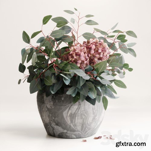 3dsky Pro - Bouquet of Eucalyptus with Hydrangea