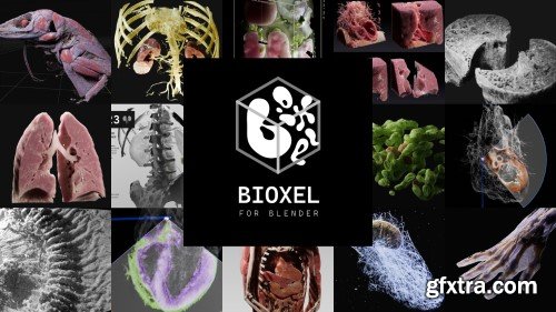 Blender Market - Bioxel Nodes 1.0.7