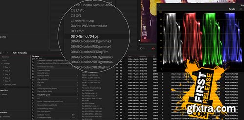 MixingLight - Resolve 17 Color Management Tips and Pat’s Revised Fixed Node Tree