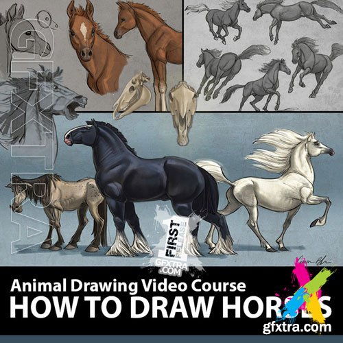 Creature Art Teacher - How to Draw Horses Course