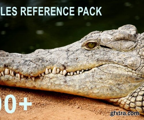 Artstation - 600+ Reptiles - Pack References