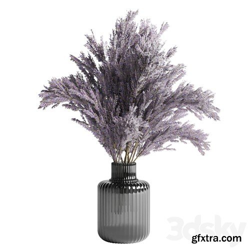 3dsky Pro - bouquet dry lavender vase glass