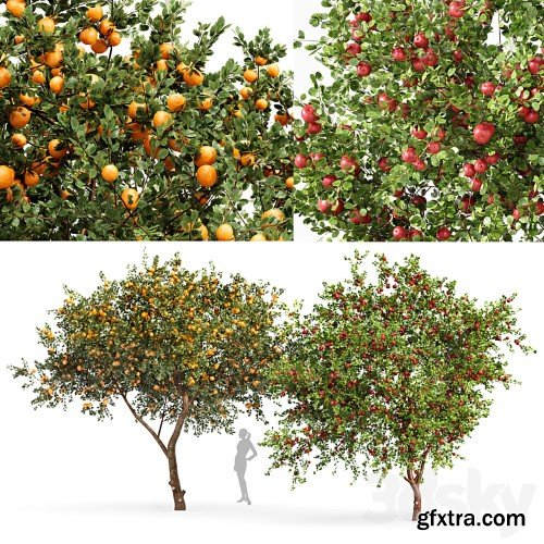 3dsky Pro - fruit trees orange and apple