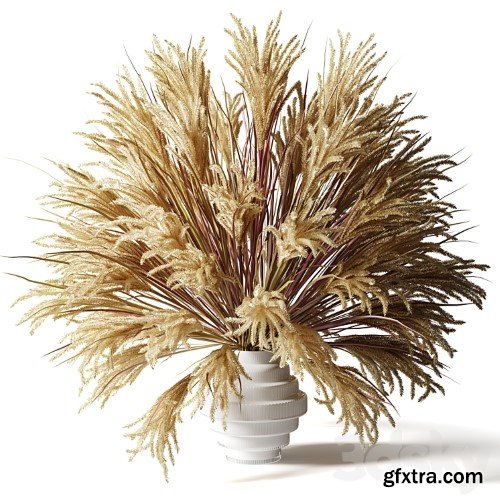 3dsky Pro - Fluffy bouquet of dry grass with tails in a glass white vase