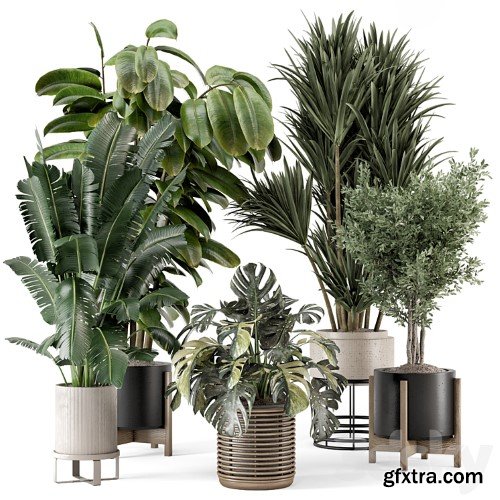 3dsky Pro - Indoor Plants in Ferm Living Bau Pot Large - Set 1328