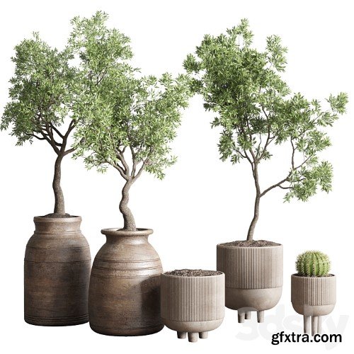 3dsky Pro - collection indoor outdoor plant 114 vase concrete wood old pot tree cactus