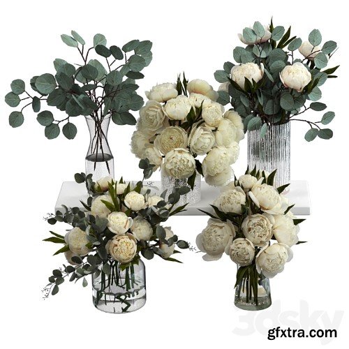 3dsky Pro - Bouquets of eucalyptus and peonies