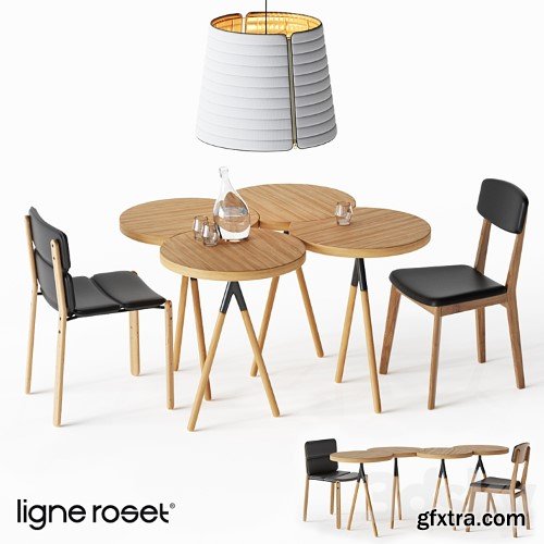 3dsky Pro - Ligne Roset Set