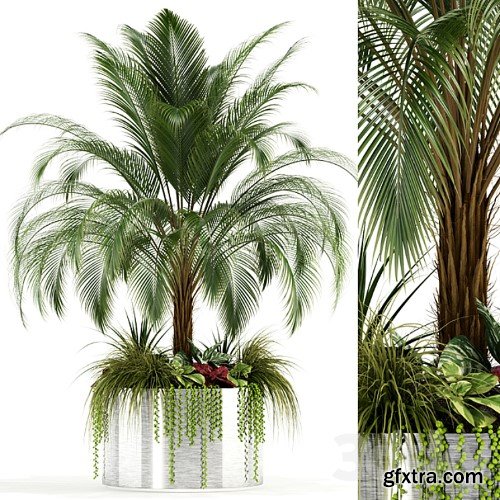 3dsky Pro - Plants collection 104