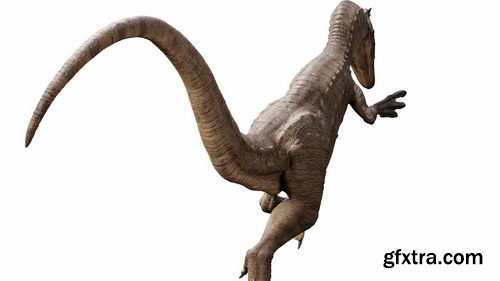 Blendermarket - Raptor Dinosaur 3D Model Realistic And Rigged