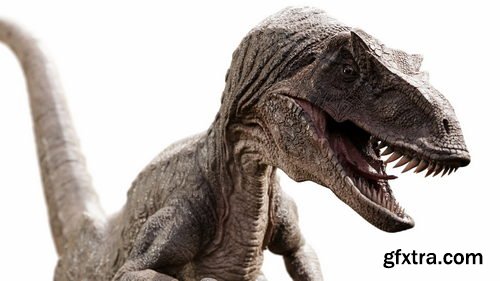 Blendermarket - Raptor Dinosaur 3D Model Realistic And Rigged