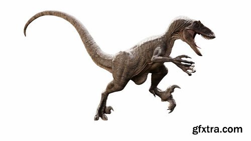 Blendermarket - Raptor Dinosaur 3D Model Realistic And Rigged