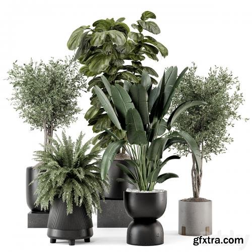 3dsky Pro - Indoor Plants in Ferm Living Bau Pot Large - Set 1277