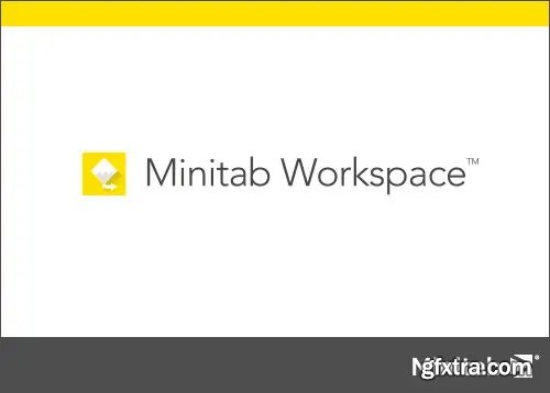 MiniTAB Workspace 1.5