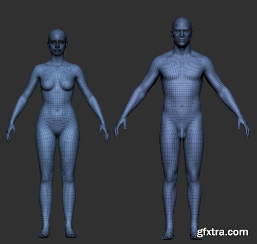 Gumroad - Pro Male and Female Basemesh (45k)