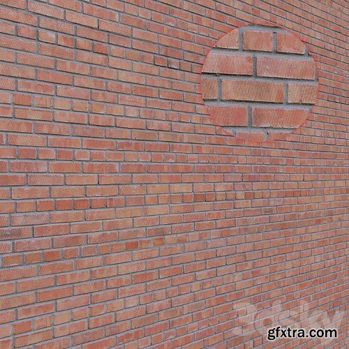 3dsky Pro - Brick Wall _8