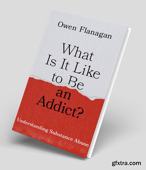 What Is It Like to Be an Addict?: Understanding Substance Abuse