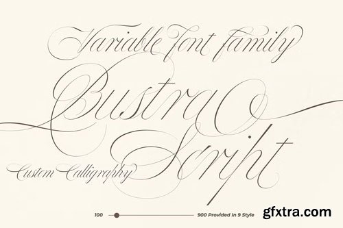 CreativeMarket - Bustra Script Pro Font