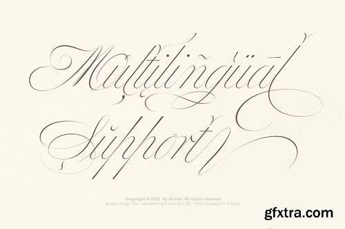 CreativeMarket - Bustra Script Pro Font