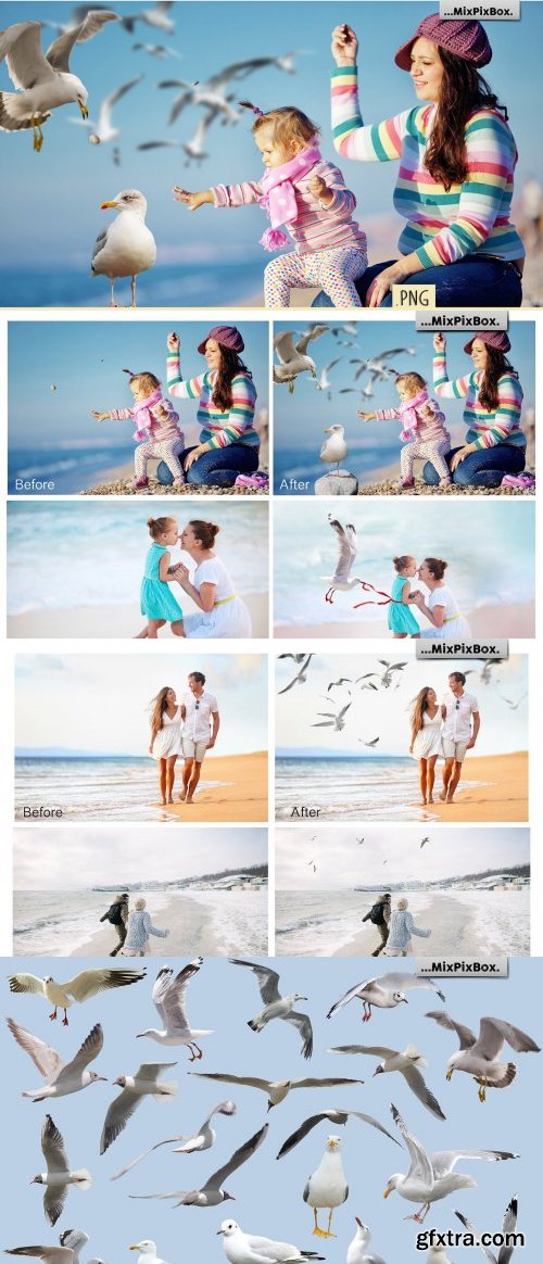 CreativeMarket - Seagulls Overlays - 4085794