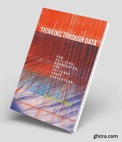 Thinking Through Data: How Outliers, Aggregates, and Patterns Shape Perception