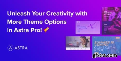 Astra Pro Addon v4.8.14 – Perfect Theme For Any Website - nulled