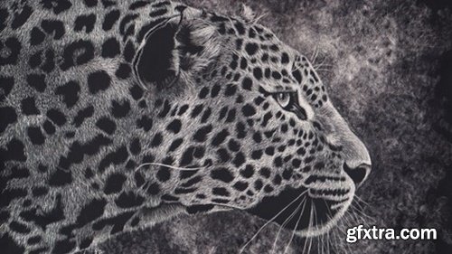 Udemy - The Art of Scratchboard