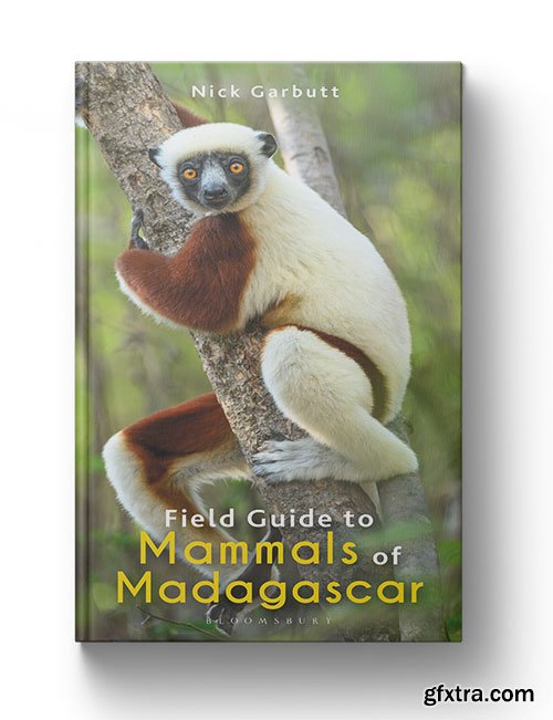 Field Guide to Mammals of Madagascar