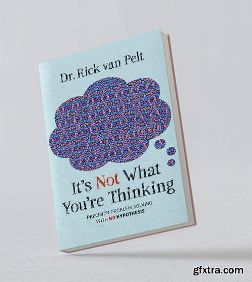 It’s Not What You’re Thinking: Precision Problem Solving with No Hypothesis