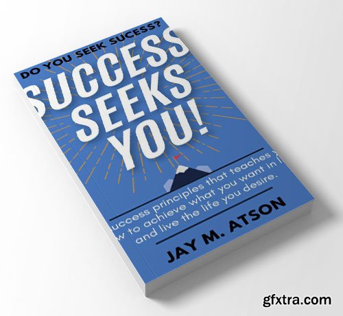 Success Seeks You!: 61 success principles