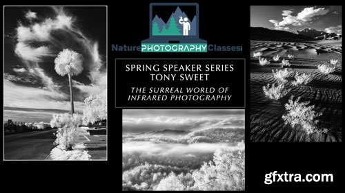 Naturephotographyclasses - Tony Sweet - The Unique World of Infrared Photography