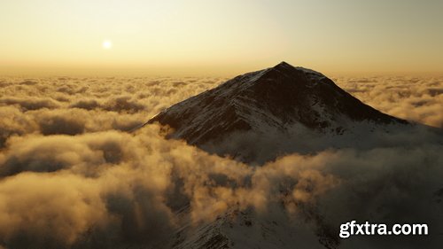 Fluent : Materializer - Material Tool Suite v1.9.3