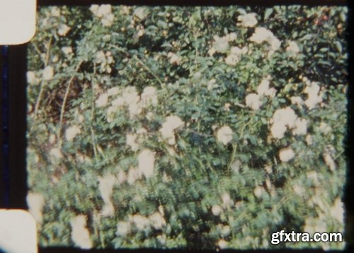 ArtList - Garden at Fall 8mm - HD Collections