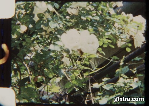 ArtList - Garden at Fall 8mm - HD Collections
