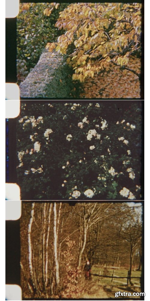 ArtList - Garden at Fall 8mm - HD Collections