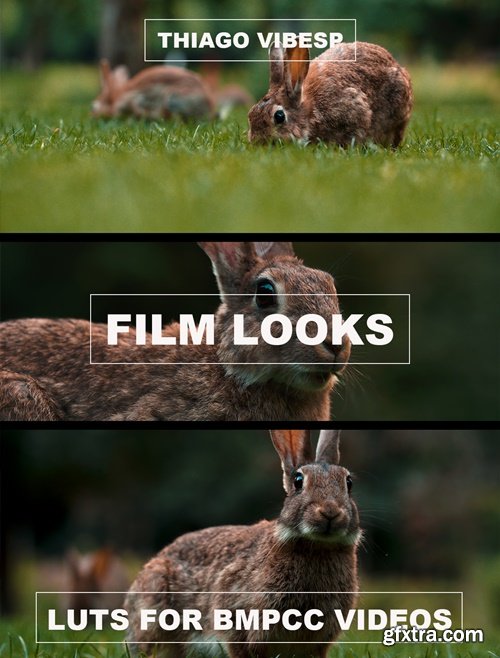 Film Looks - LUTs for BMPCC/BMPCC4K/BMPCC6K Pro Gen4/5 Videos